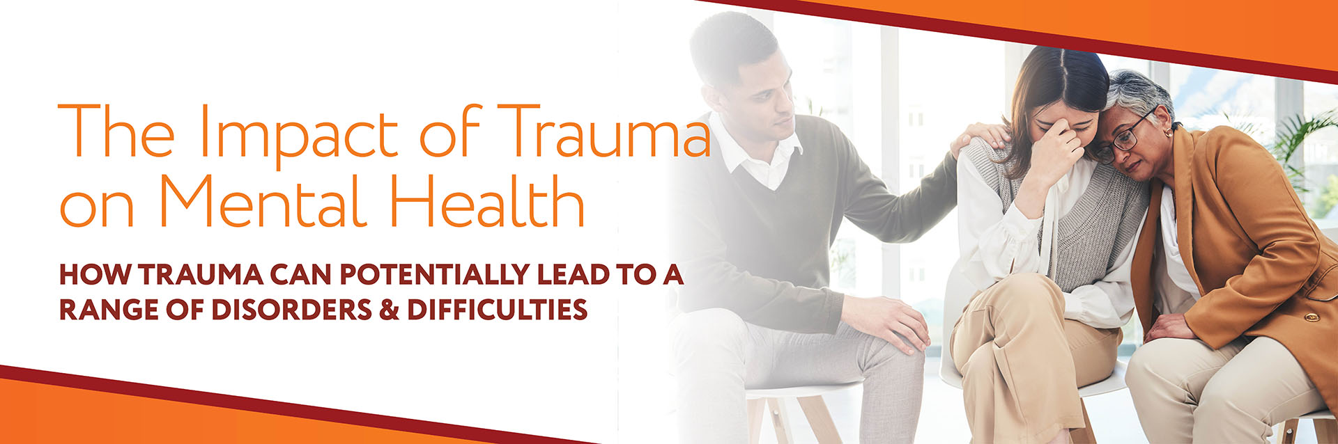 Impact of Trauma - Website Banner